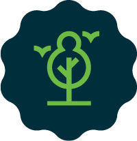 Nature icon